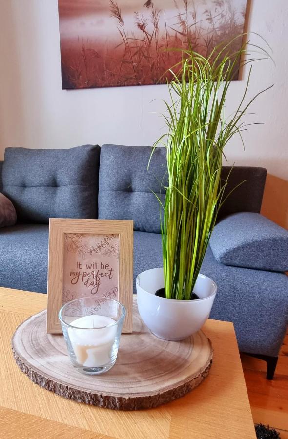 Apartment Apartma Metka