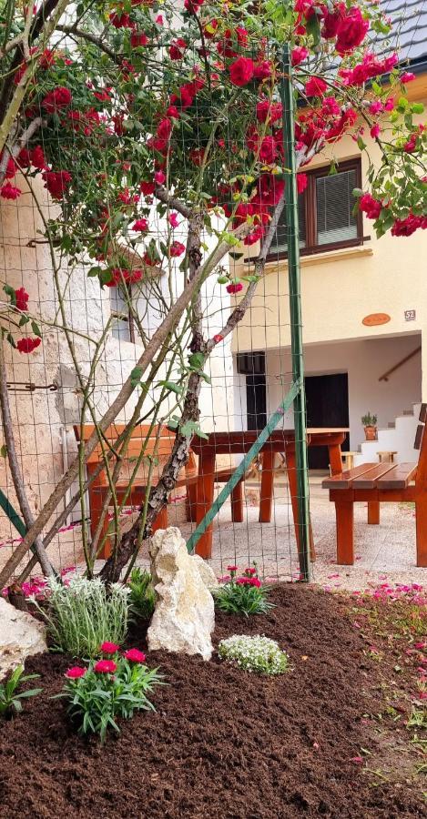 Apartma Metka *